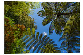 Magnettafel willkommen im dschungel