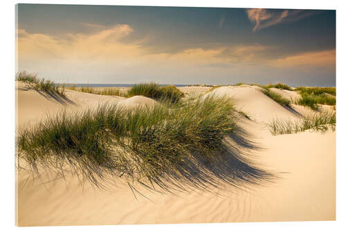 Quadro em acrílico Golden dunes seascape