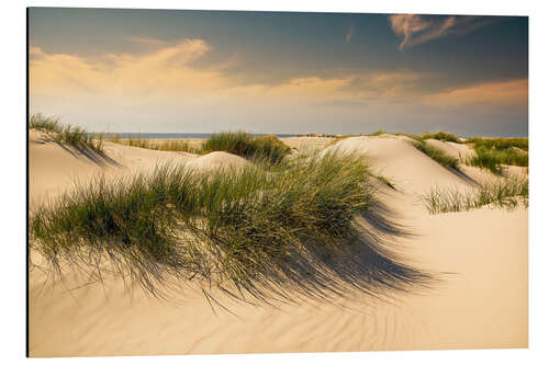 Aluminiumsbilde Golden dunes seascape