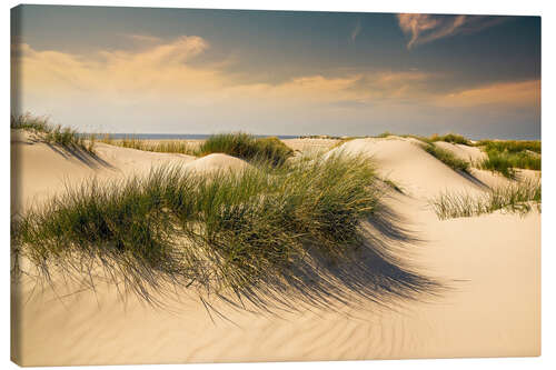 Quadro em tela Golden dunes seascape