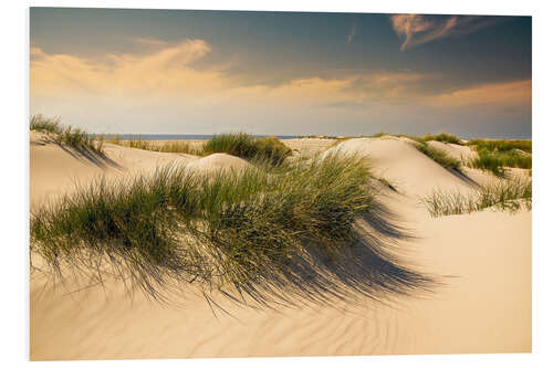 Foam board print Golden dunes seascape