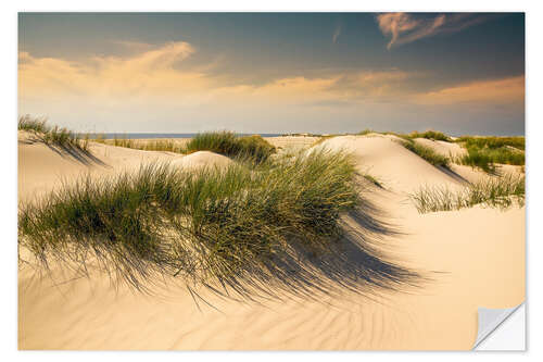 Selvklebende plakat Golden dunes seascape