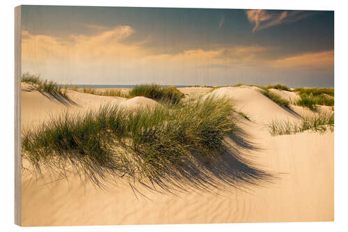 Wood print Golden dunes seascape