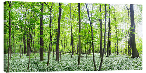 Lærredsbillede A forest in springtime with wild garlic