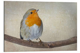 Aluminium print robin Art