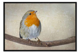 Gerahmter Kunstdruck Rotkehlchen Art