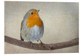 Foam board print robin Art