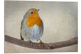 Gallery print robin Art