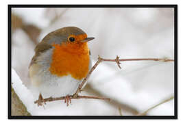 Gerahmter Kunstdruck Vogel Rotkehlchen