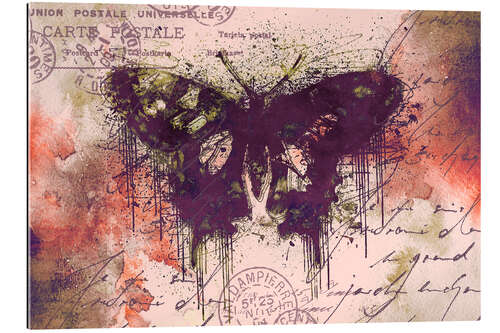 Gallery print Crazy Butterfly