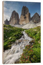 Trätavla Alps - Dolomites - Tre Cime