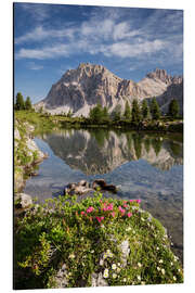 Aluminium print Alps - Dolomites - Summer Lake