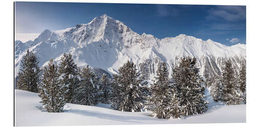 Galleritryck Alps - Italy - Otler Winter