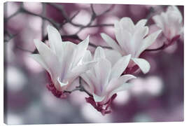 Leinwandbild Magnolienblüten III - Atteloi