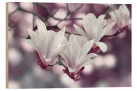 Wood print Magnolia Blossoms III