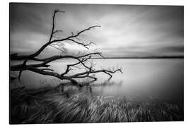 Magnettafel Serenity