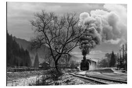 Magnettafel Mocanita Hutulca