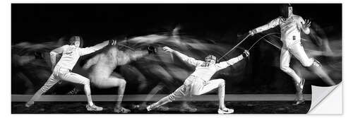 Sisustustarra Fencing #1