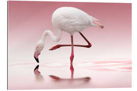 Gallery Print Flamingo