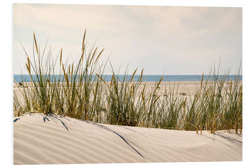 Foam board print On the beach