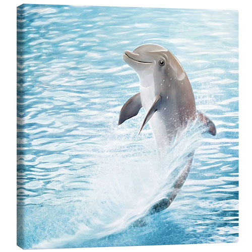 Leinwandbild Kleiner Delphin