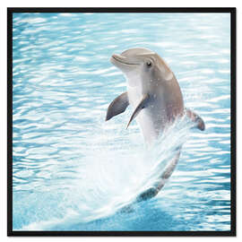 Gerahmter Kunstdruck Kleiner Delphin