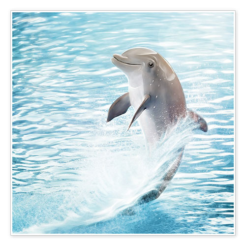 Poster Petit dauphin