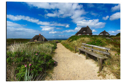 Quadro em alumínio Sylt dunes and sea