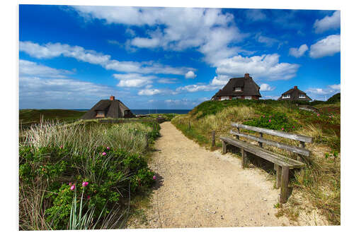 Cuadro de PVC Dunas y mar en Sylt