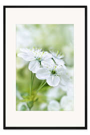 Gerahmter Kunstdruck Frühlingsblüten I