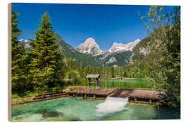 Holzbild Schiederweiher, Oberösterreich