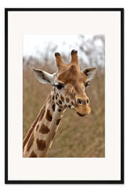 Gerahmter Kunstdruck Giraffe