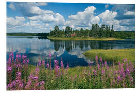 Acrylic print Pallas-Ounas-Tunturi National Park