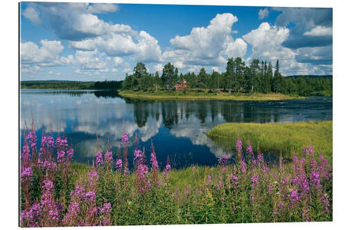 Tableau en plexi-alu Pallas-Ounas-Tunturi National Park