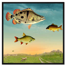 Gerahmter Kunstdruck Fische