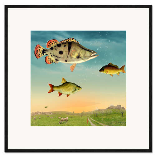 Framed art print fishes