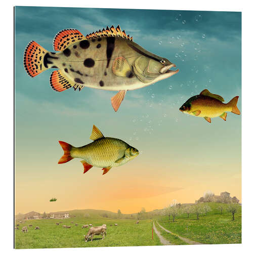 Gallery print fishes