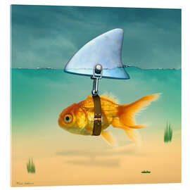 Obraz na szkle akrylowym  Złota rybka - Mark Ashkenazi