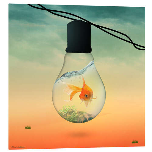 Cuadro de metacrilato lights fish B