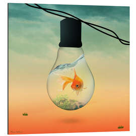 Quadro em alumínio lights fish B
