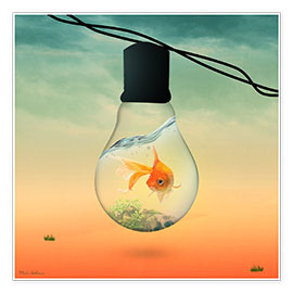 Wandbild  Glühbirnen-Goldfisch - Mark Ashkenazi