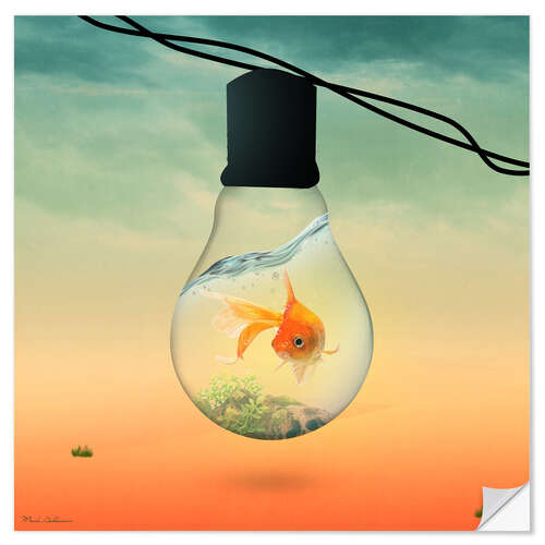 Självhäftande poster lights fish B