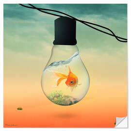 Självhäftande poster lights fish B