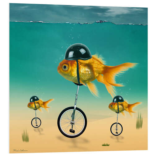 Foam board print gold fish