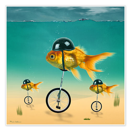 Poster Goldfische