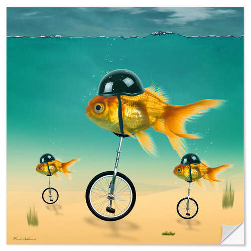 Autocolante decorativo gold fish