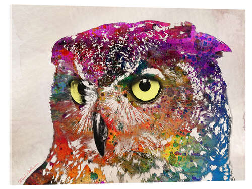 Cuadro de metacrilato owl drowing