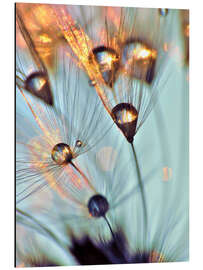 Magnettafel Pusteblume   fineart