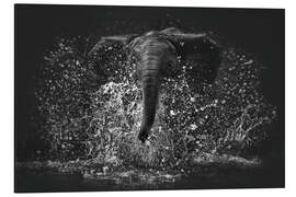 Magnettafel Elefanten Power