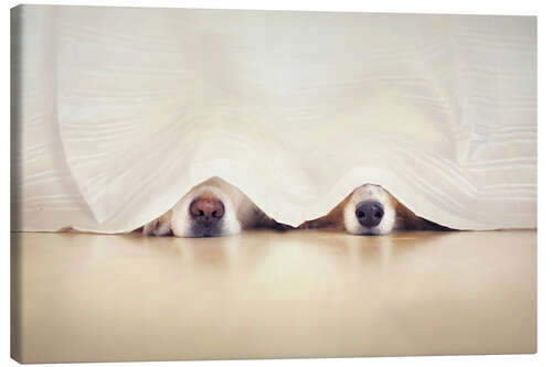 Canvas print hide and seek